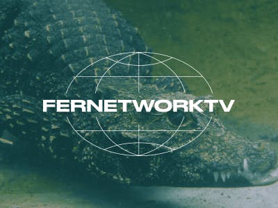 FERNETWORK TV